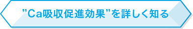 Ca吸収促進効果を詳しく知る